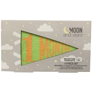 NEW Moon and Stars 14 piece Milestone Pennants